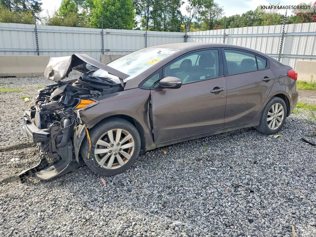2014 Kia Forte Lx VIN: KNAFX4A60E5088331 Lot: 61142096
