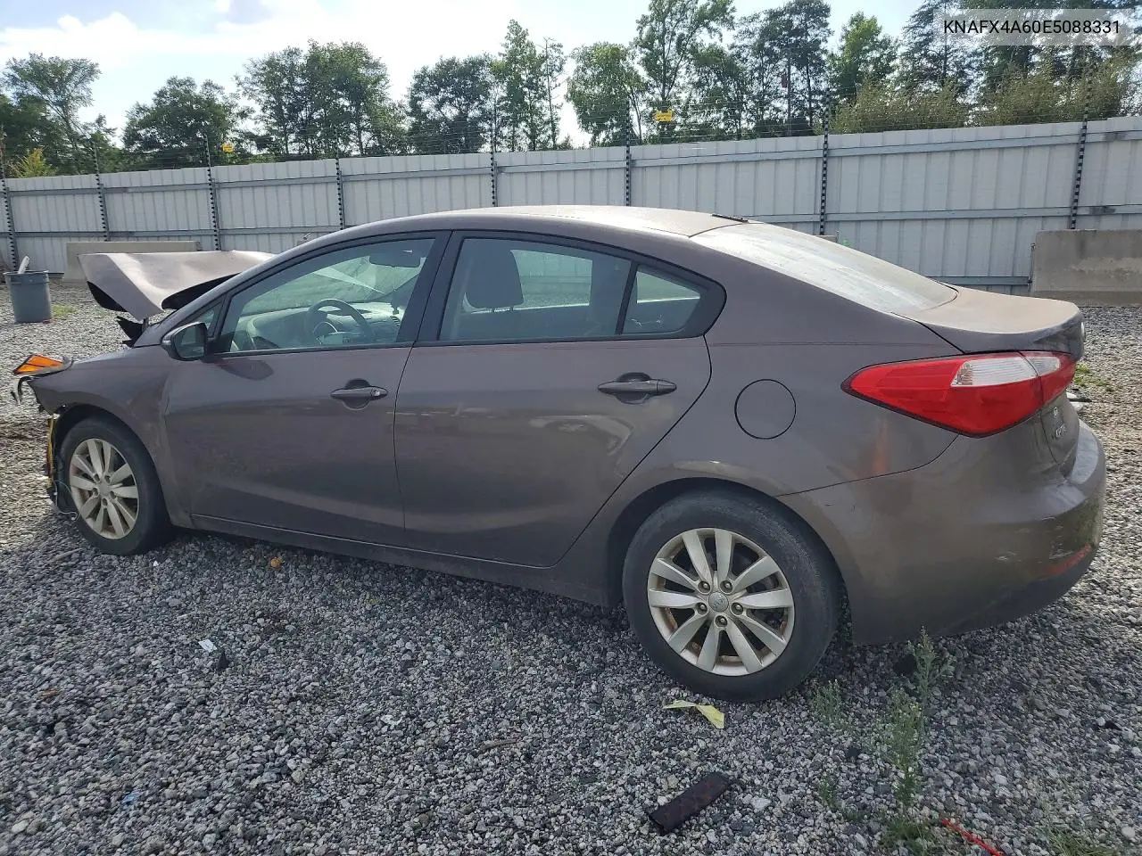 2014 Kia Forte Lx VIN: KNAFX4A60E5088331 Lot: 61142096