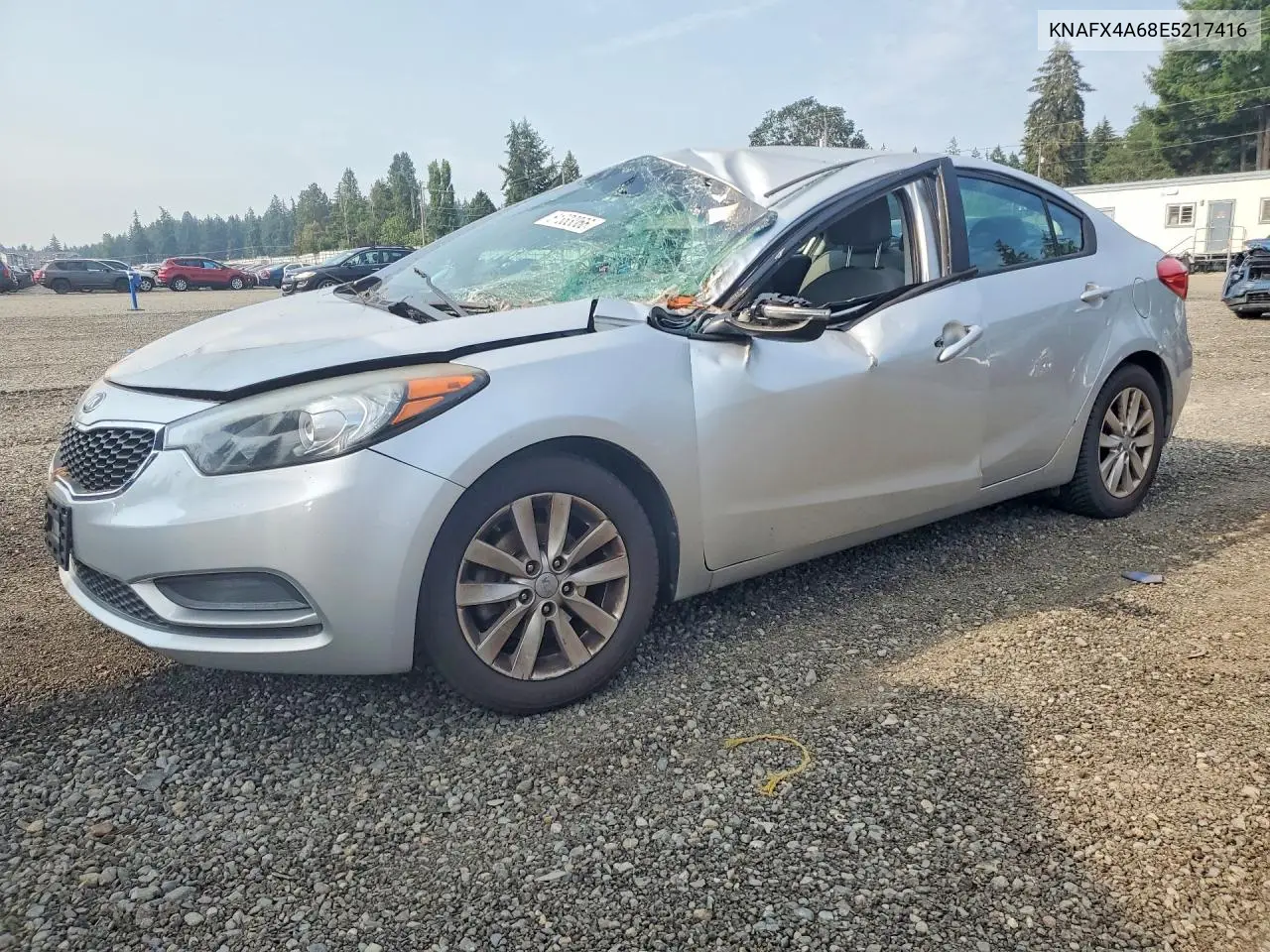 2014 Kia Forte Lx VIN: KNAFX4A68E5217416 Lot: 61333066