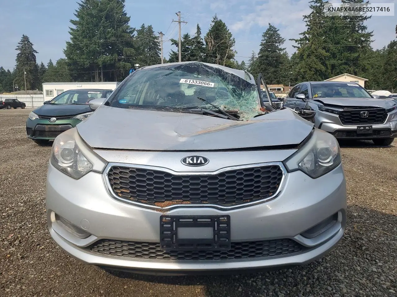 2014 Kia Forte Lx VIN: KNAFX4A68E5217416 Lot: 61333066