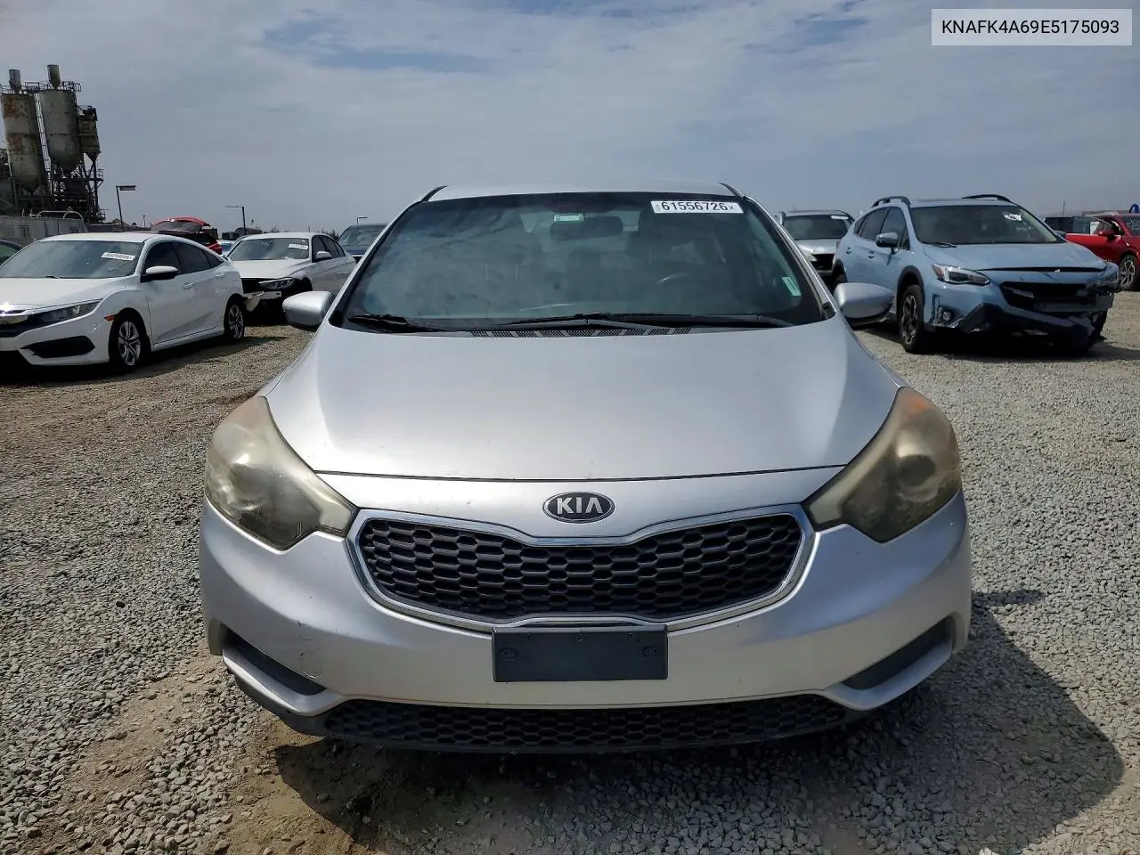 2014 Kia Forte Lx VIN: KNAFK4A69E5175093 Lot: 61556726