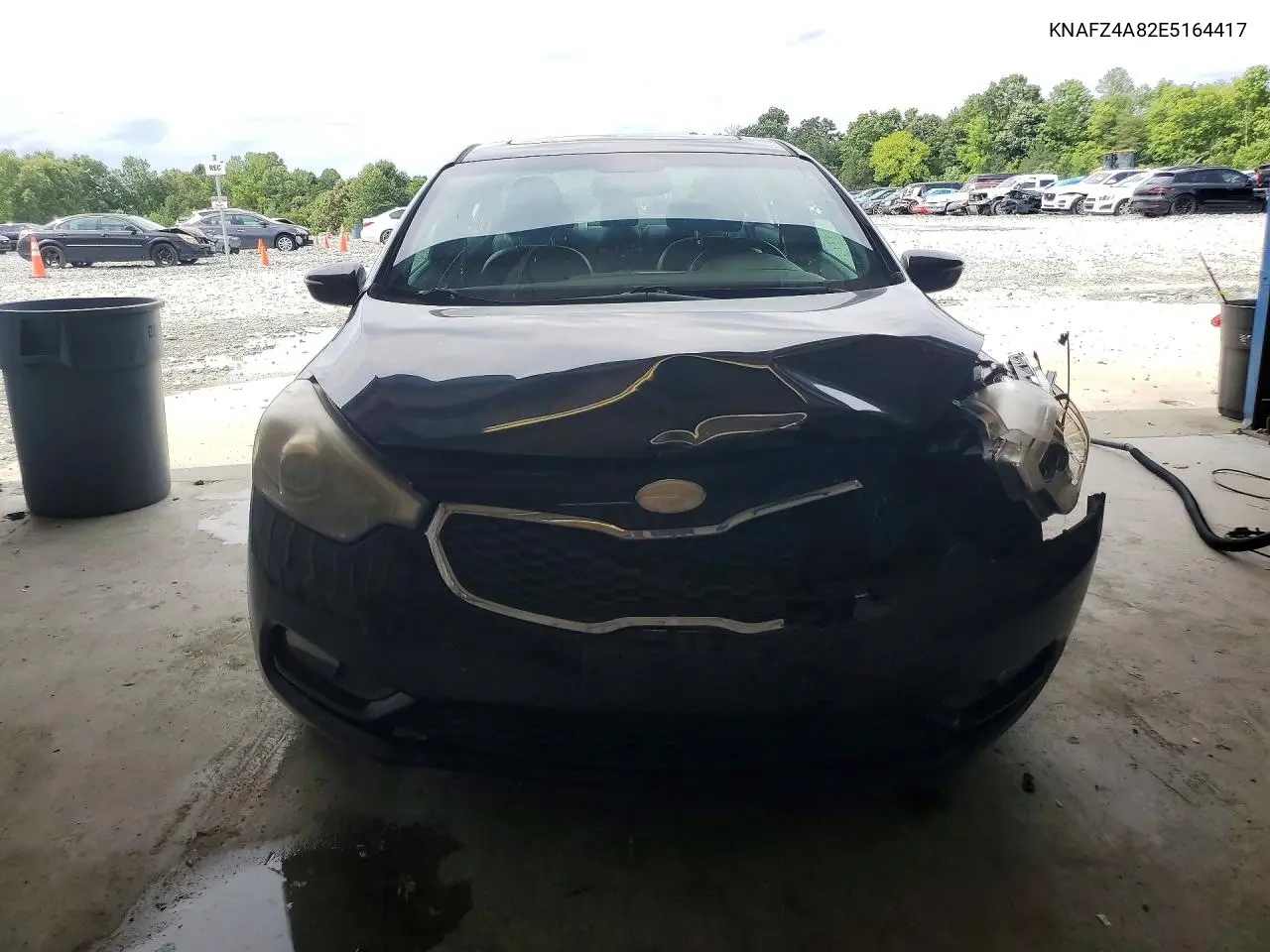 2014 Kia Forte Ex VIN: KNAFZ4A82E5164417 Lot: 62140126