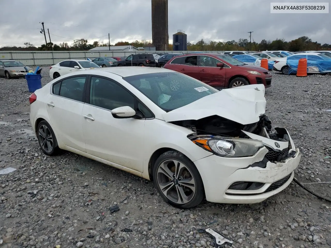 KNAFX4A83F5308239 2015 Kia Forte Ex
