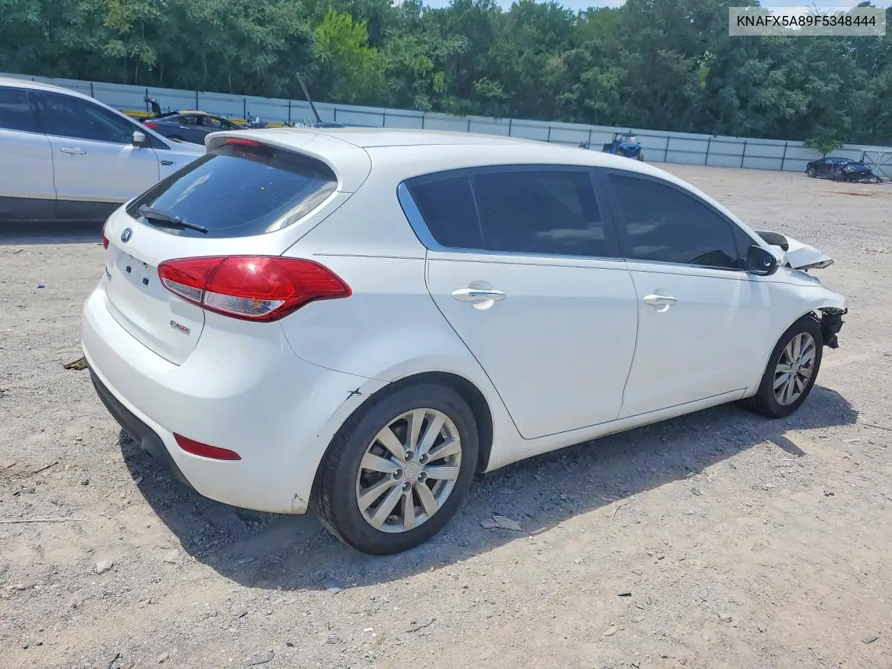 2015 Kia Forte Ex VIN: KNAFX5A89F5348444 Lot: 61178676