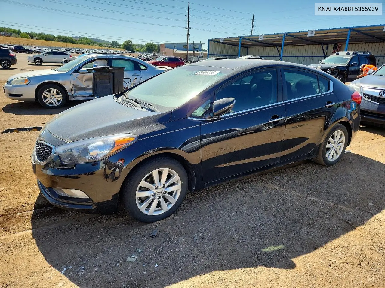 2015 Kia Forte Ex VIN: KNAFX4A88F5365939 Lot: 61806116
