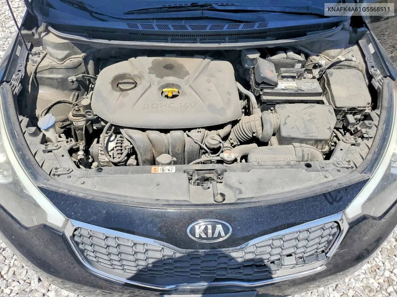 2016 Kia Forte Lx VIN: KNAFK4A61G5568511 Lot: 56547346