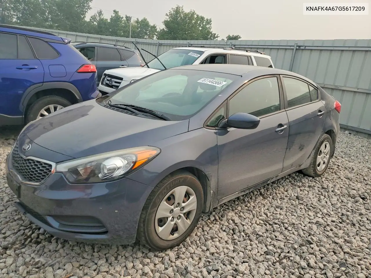 2016 Kia Forte Lx VIN: KNAFK4A67G5617209 Lot: 61144566