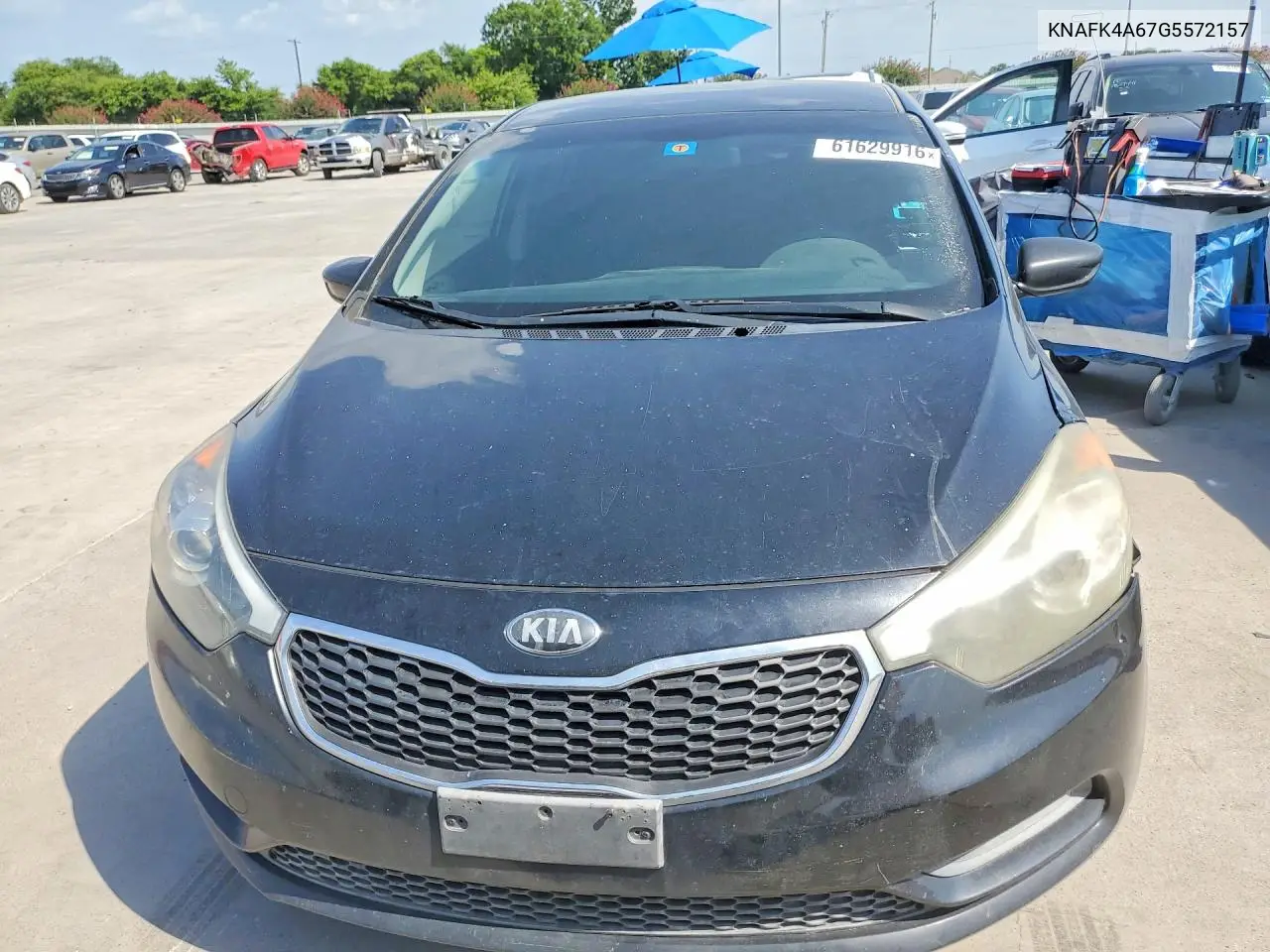2016 Kia Forte Lx VIN: KNAFK4A67G5572157 Lot: 61629916