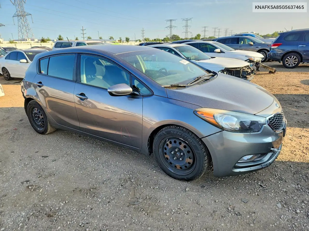 2016 Kia Forte5 Lx VIN: KNAFK5A85G5637465 Lot: 61960186