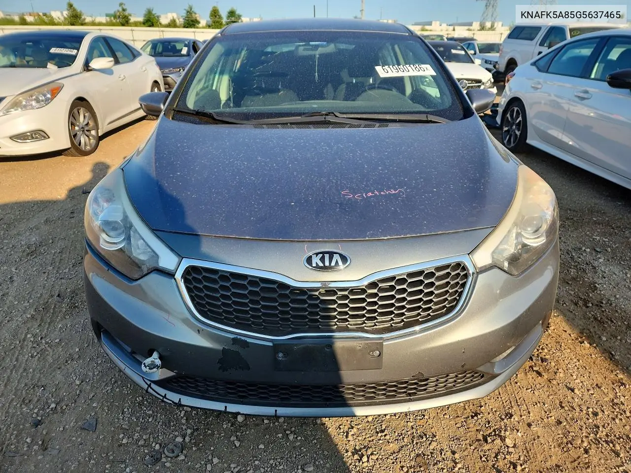 2016 Kia Forte5 Lx VIN: KNAFK5A85G5637465 Lot: 61960186