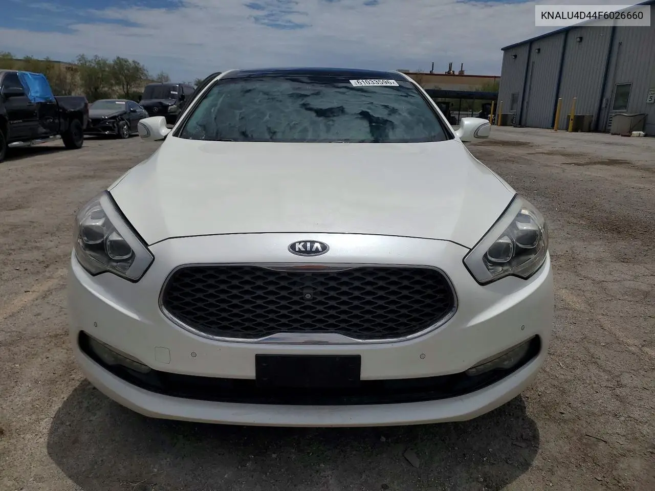 2015 Kia K900 Premium VIN: KNALU4D44F6026660 Lot: 61033596