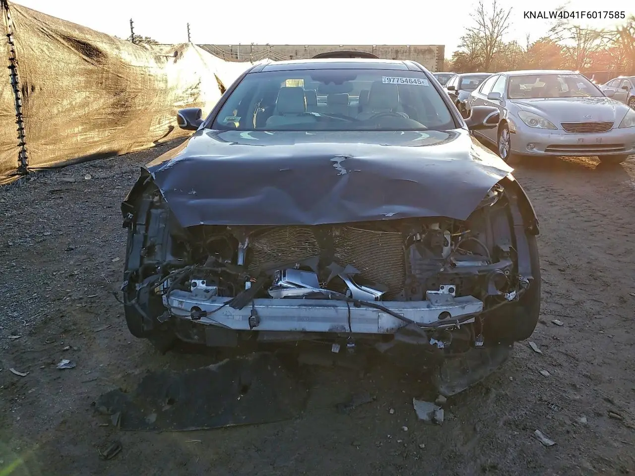 2015 Kia K900 VIN: KNALW4D41F6017585 Lot: 97754645