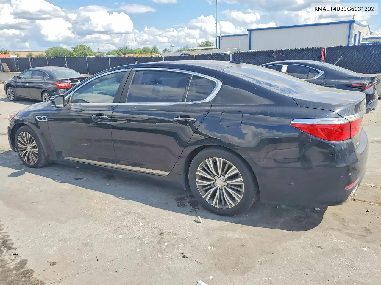 2016 Kia K900 Premium V6 VIN: KNALT4D39G6031302 Lot: 51111416