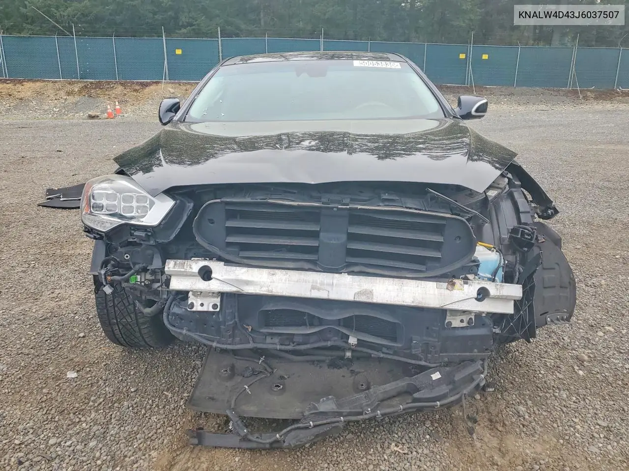 2018 Kia K900 VIN: KNALW4D43J6037507 Lot: 55058436
