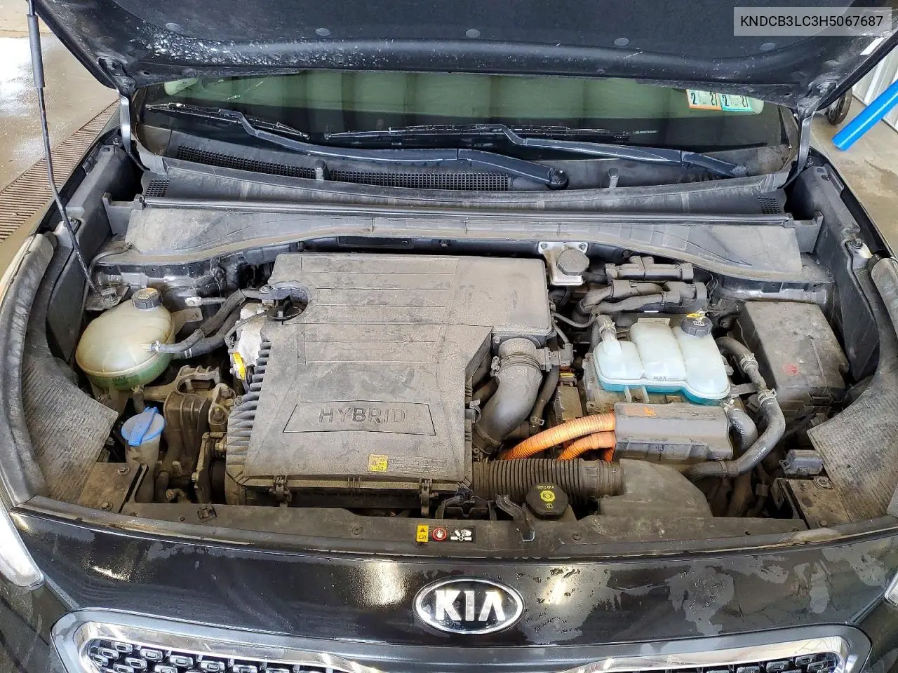2017 Kia Niro Fe VIN: KNDCB3LC3H5067687 Lot: 55287406