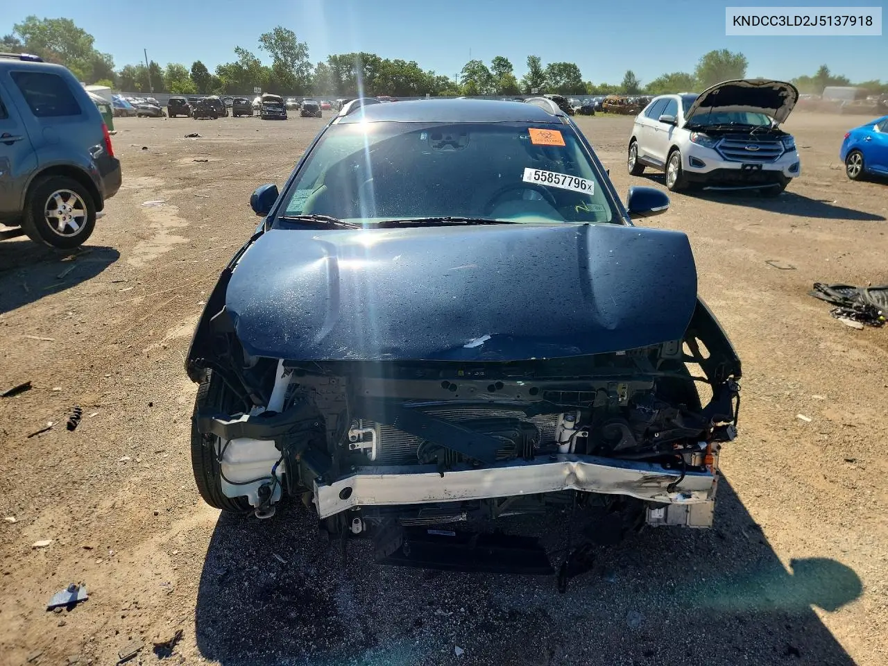 2018 Kia Niro Ex Premium VIN: KNDCC3LD2J5137918 Lot: 55857796