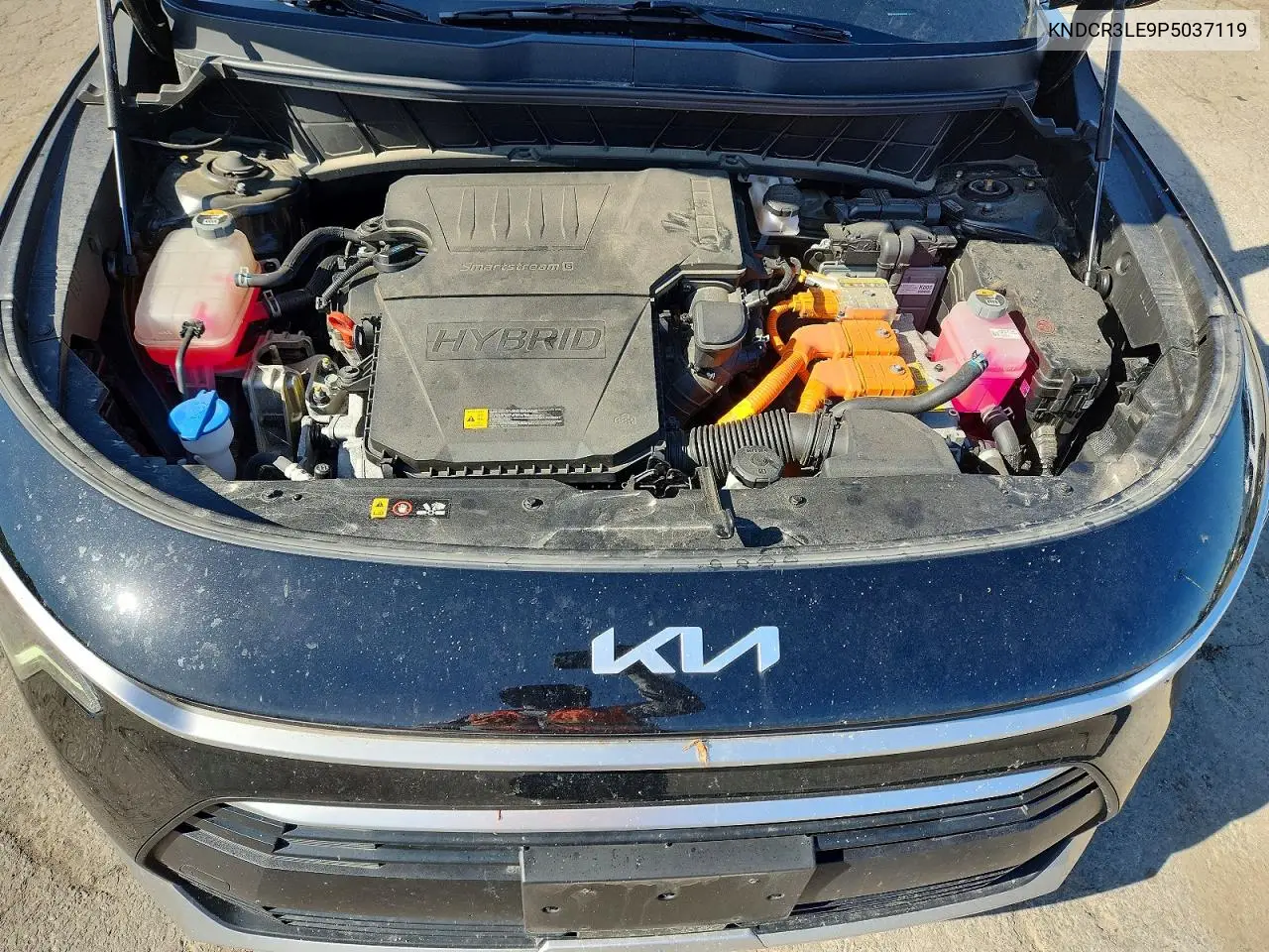 2023 Kia Niro Ex VIN: KNDCR3LE9P5037119 Lot: 60836376