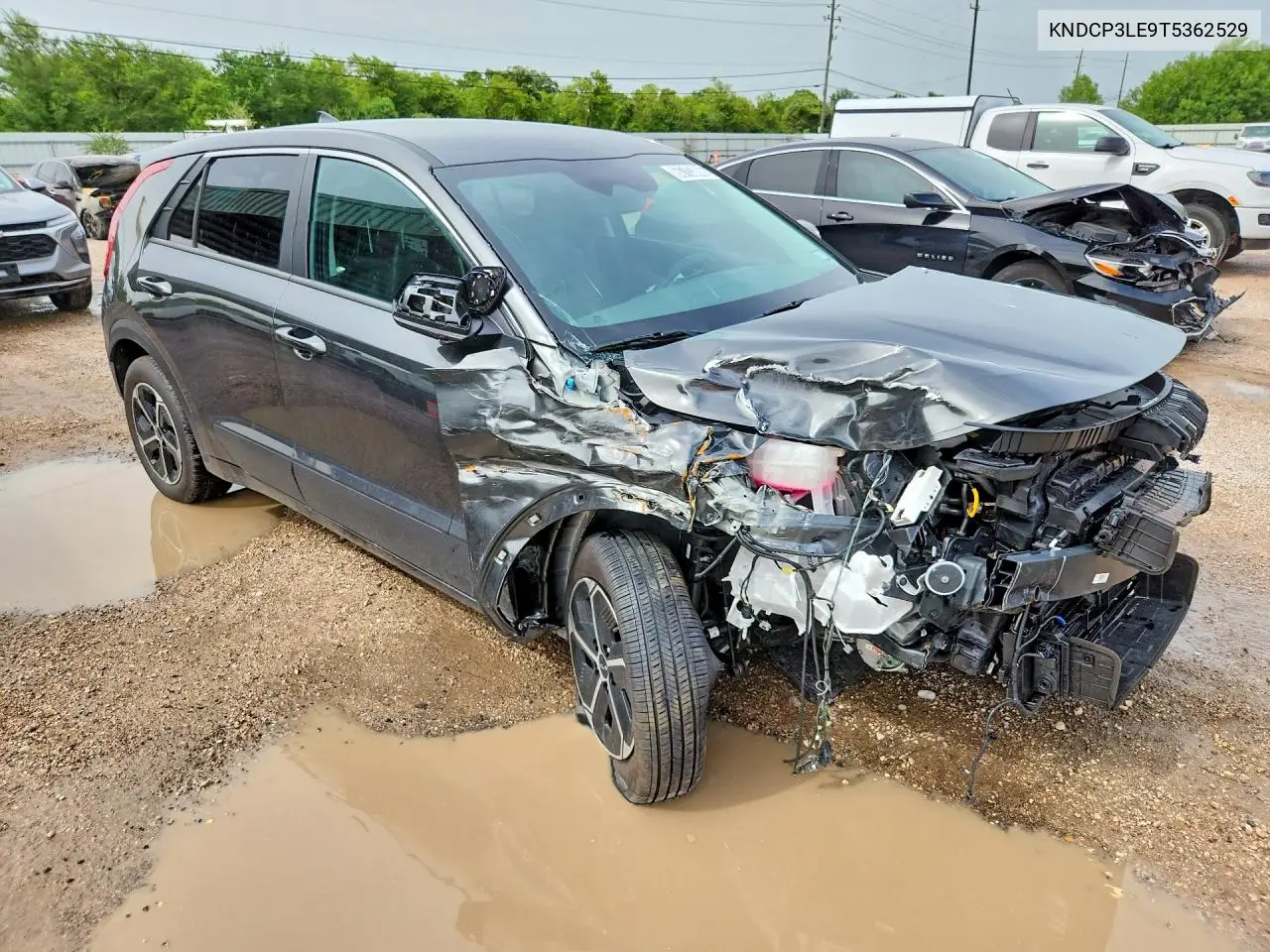 2026 Kia Niro Lx VIN: KNDCP3LE9T5362529 Lot: 60703806