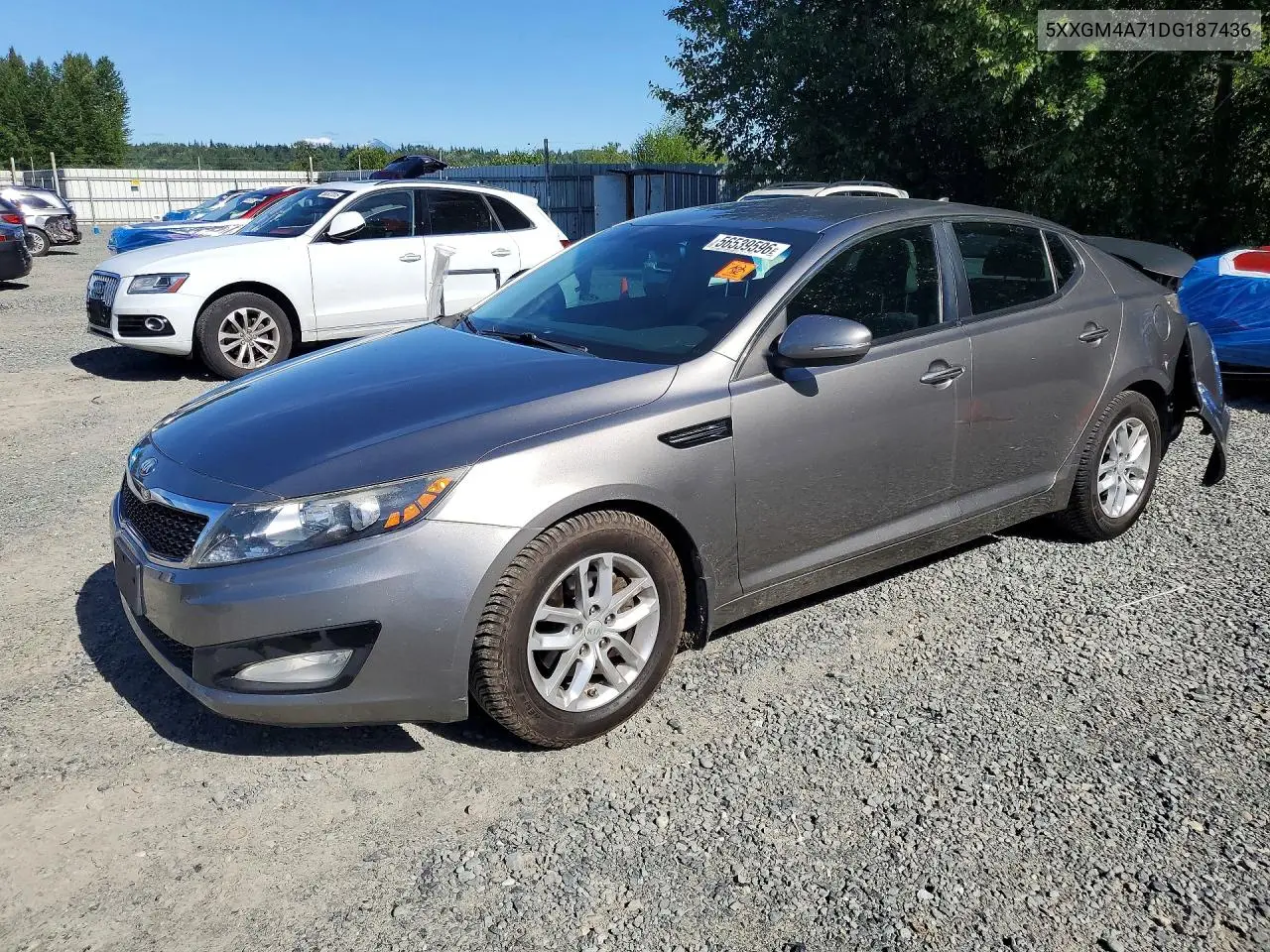 2013 Kia Optima VIN: 5XXGM4A71DG187436 Lot: 56539596