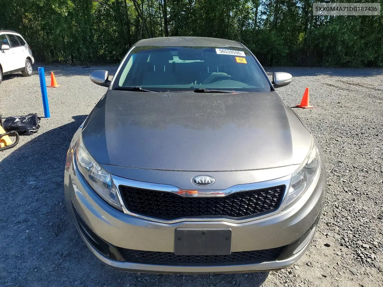 2013 Kia Optima VIN: 5XXGM4A71DG187436 Lot: 56539596