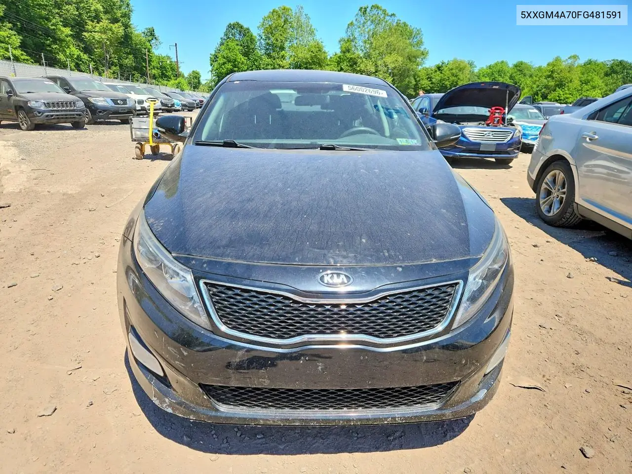 Optima