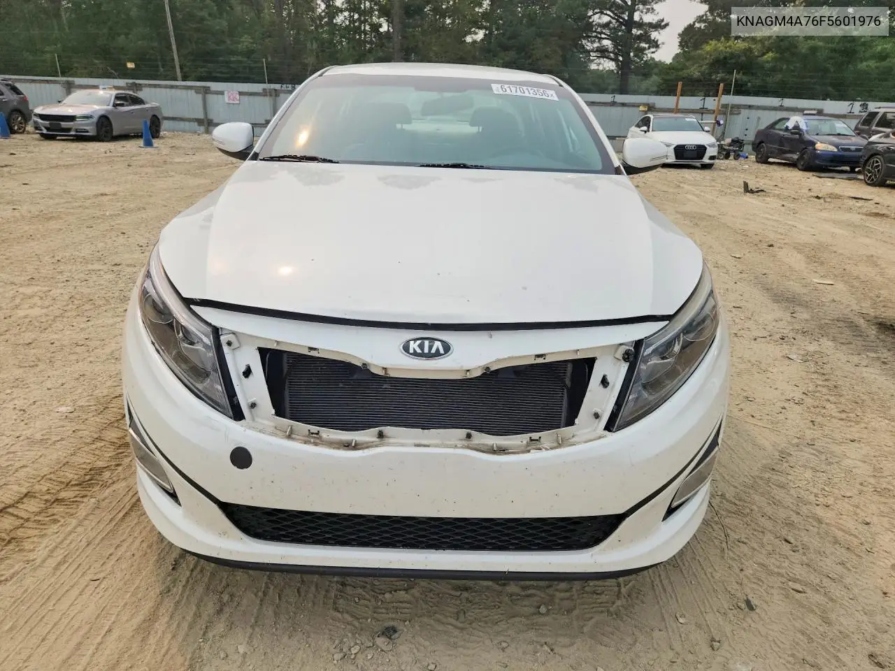 2015 Kia Optima Lx VIN: KNAGM4A76F5601976 Lot: 61701356