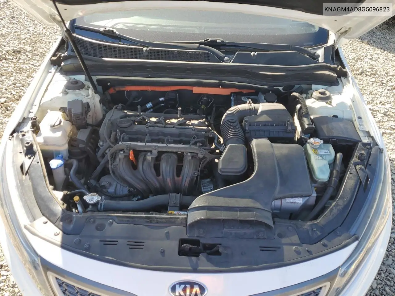 KNAGM4AD8G5096823 2016 Kia Optima Hybrid