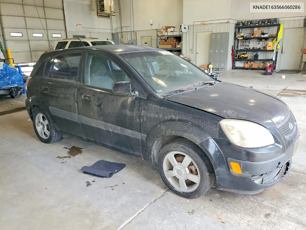 2006 Kia Rio 5 VIN: KNADE163566060286 Lot: 59239666
