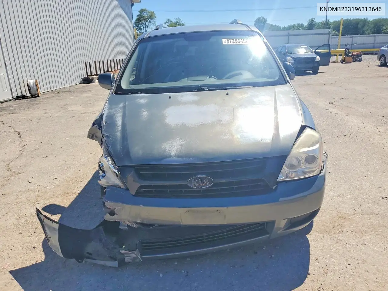 2009 Kia Sedona Lx VIN: KNDMB233196313646 Lot: 57256456