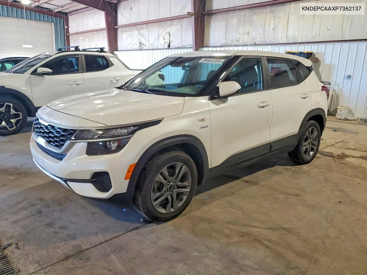 2023 Kia Seltos Lx VIN: KNDEPCAAXP7362137 Lot: 56402086