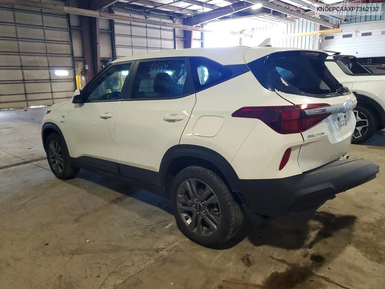 2023 Kia Seltos Lx VIN: KNDEPCAAXP7362137 Lot: 56402086