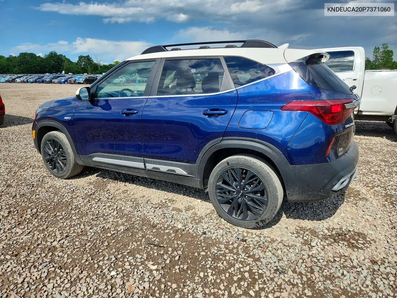 2023 Kia Seltos Nightfall VIN: KNDEUCA20P7371060 Lot: 56452946