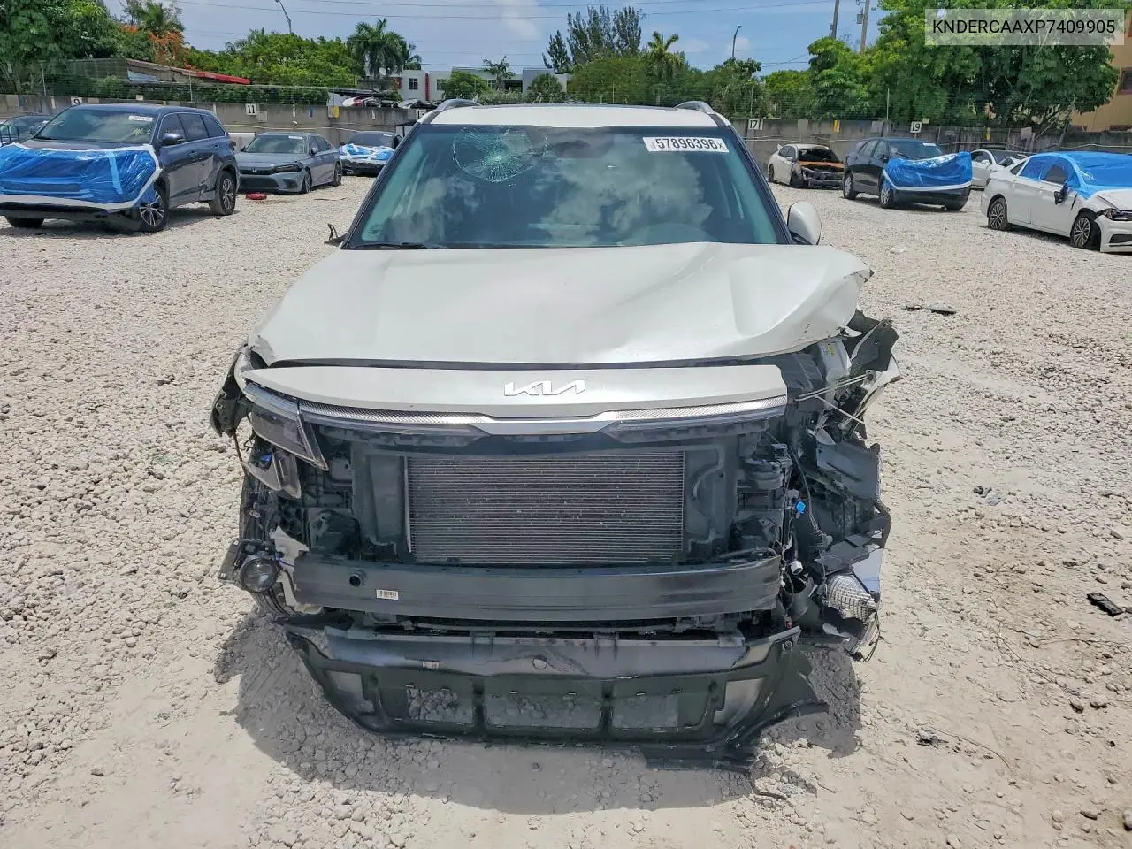 2023 Kia Seltos Ex VIN: KNDERCAAXP7409905 Lot: 57896396
