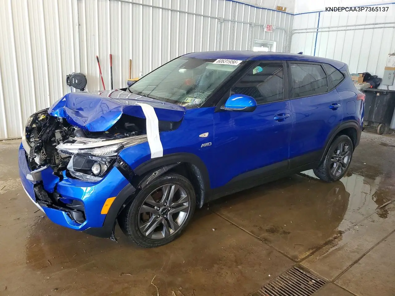 2023 Kia Seltos Lx VIN: KNDEPCAA3P7365137 Lot: 60631956