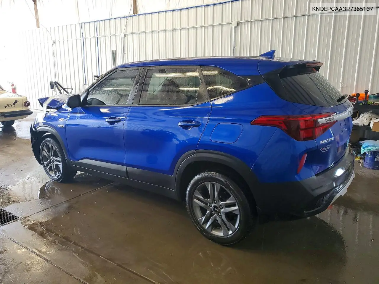 2023 Kia Seltos Lx VIN: KNDEPCAA3P7365137 Lot: 60631956