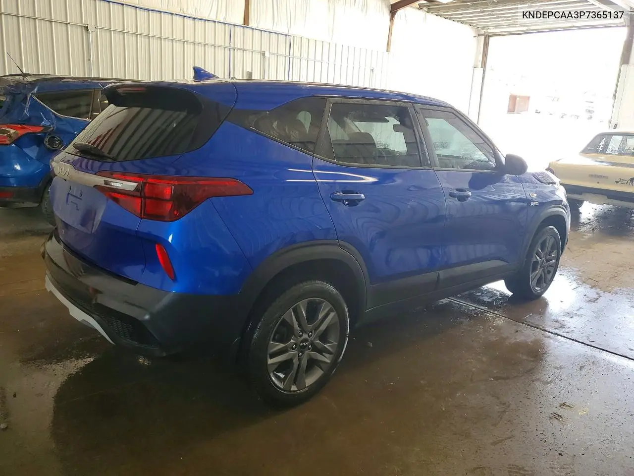 2023 Kia Seltos Lx VIN: KNDEPCAA3P7365137 Lot: 60631956