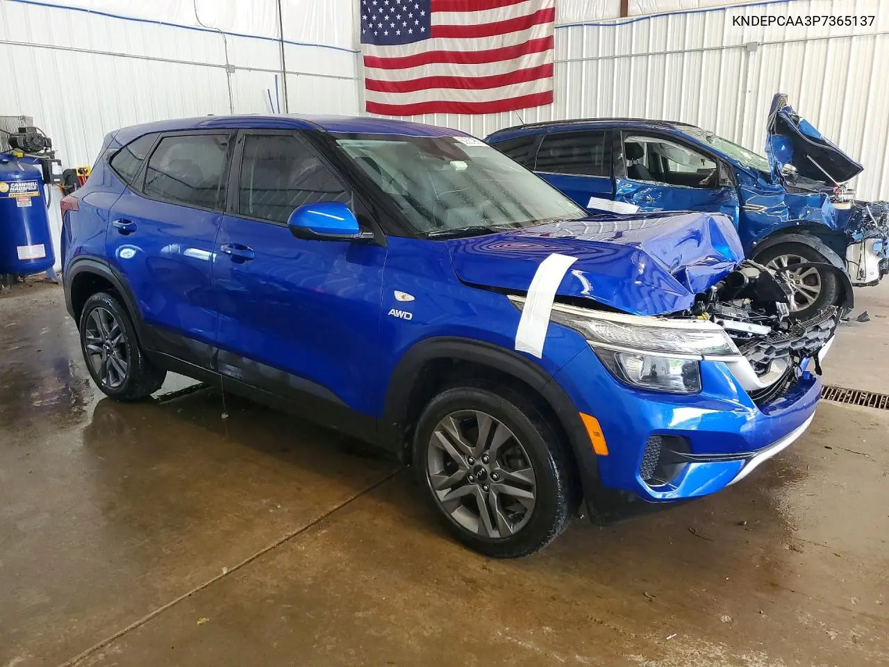 2023 Kia Seltos Lx VIN: KNDEPCAA3P7365137 Lot: 60631956