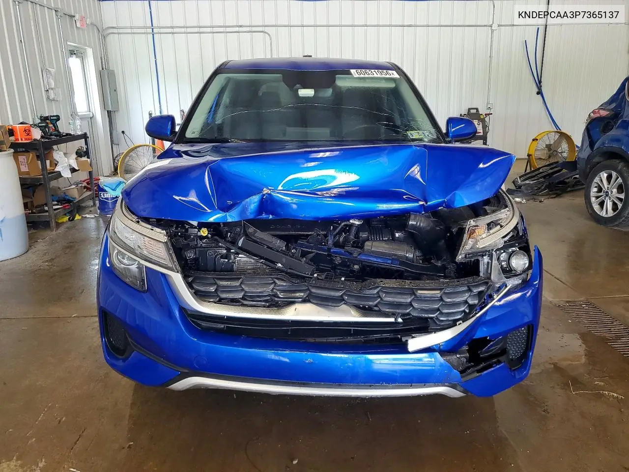 2023 Kia Seltos Lx VIN: KNDEPCAA3P7365137 Lot: 60631956