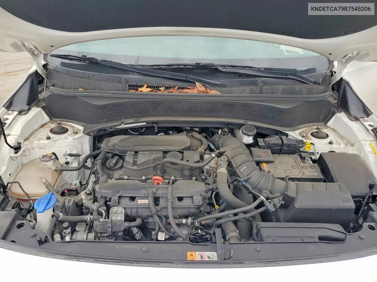 2024 Kia Seltos Sx VIN: KNDETCA79R7545306 Lot: 58268566
