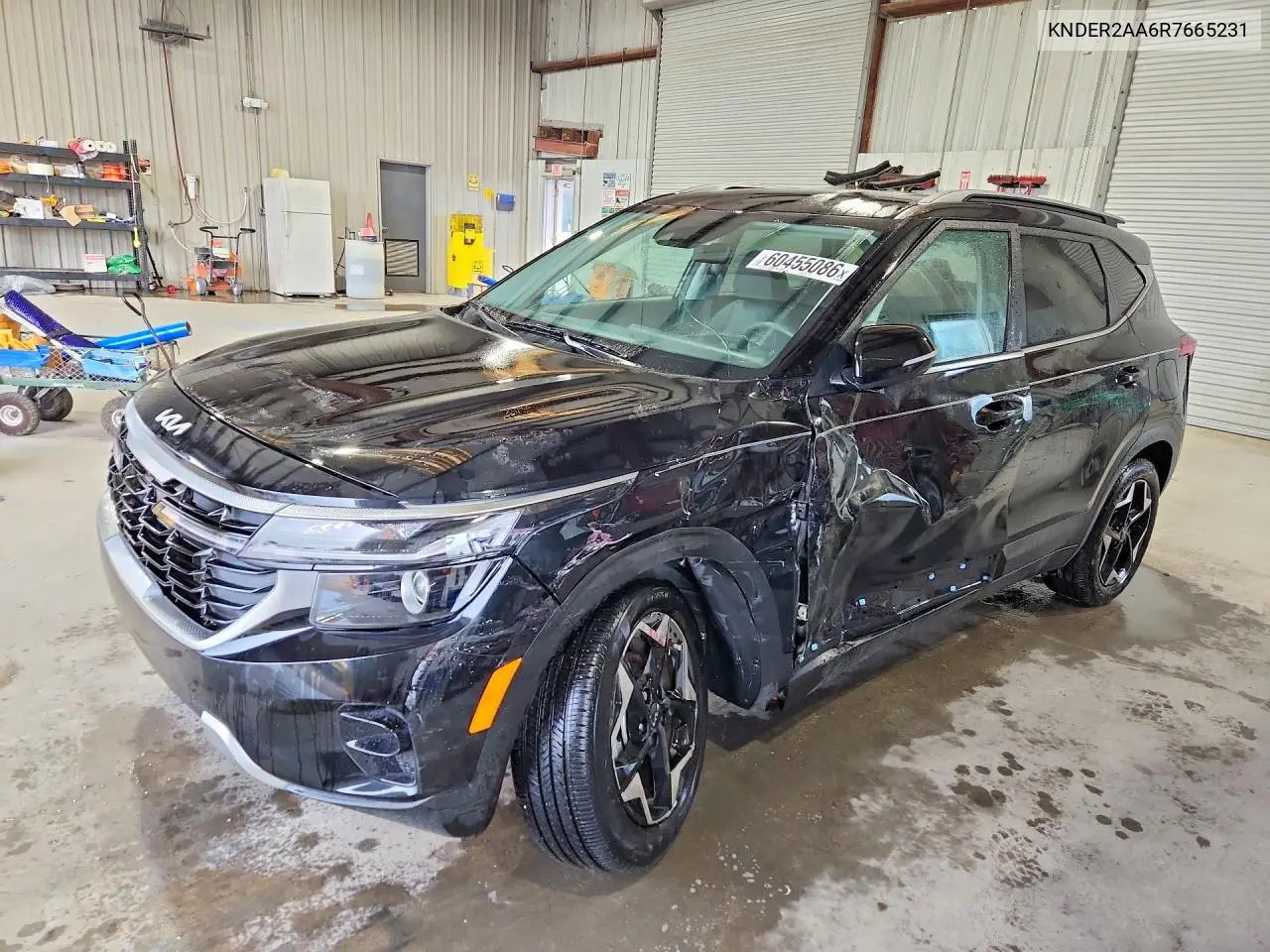 2024 Kia Seltos Ex VIN: KNDER2AA6R7665231 Lot: 60455086