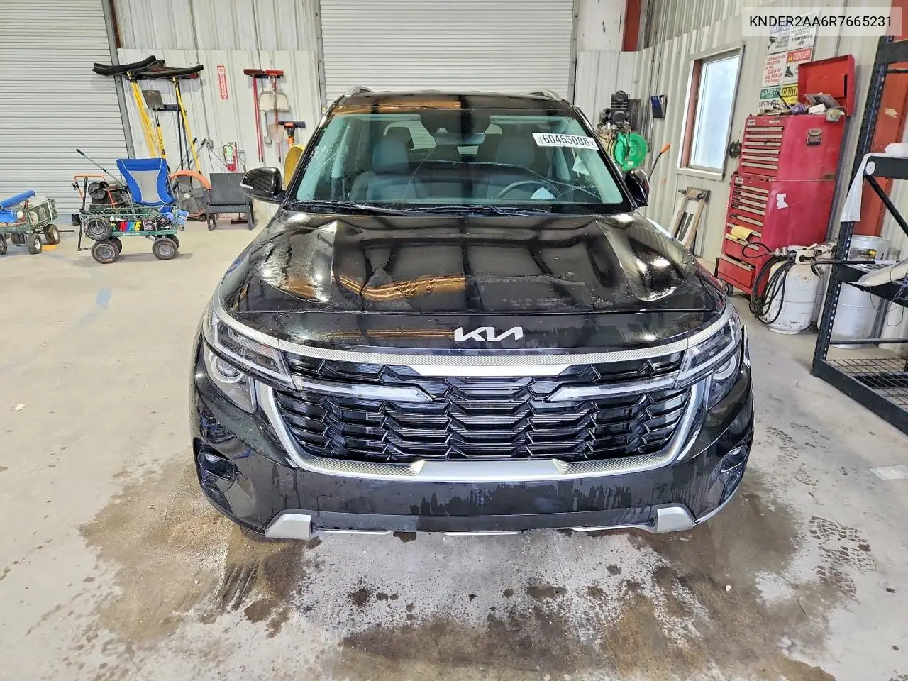 2024 Kia Seltos Ex VIN: KNDER2AA6R7665231 Lot: 60455086