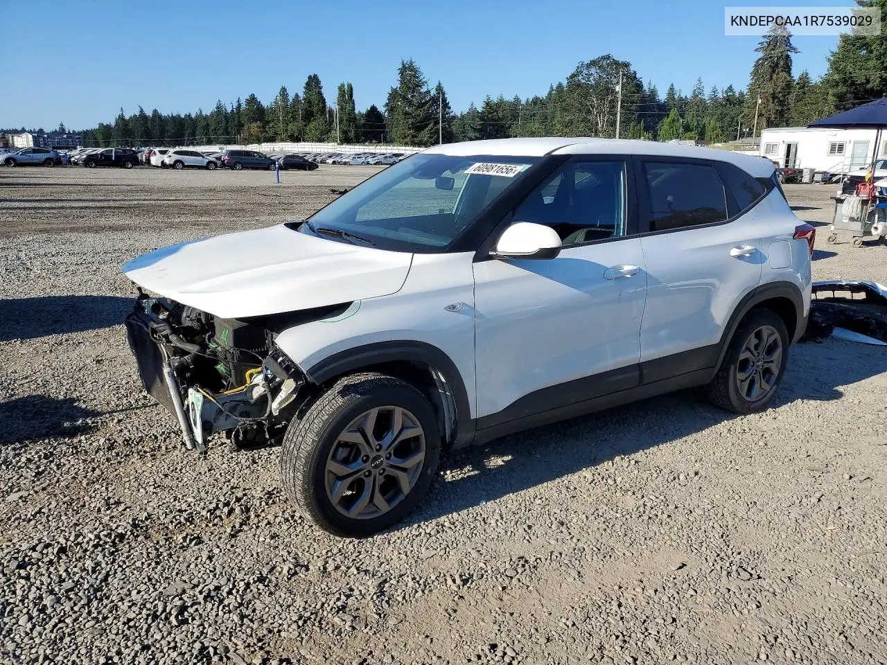 2024 Kia Seltos Lx VIN: KNDEPCAA1R7539029 Lot: 60981656