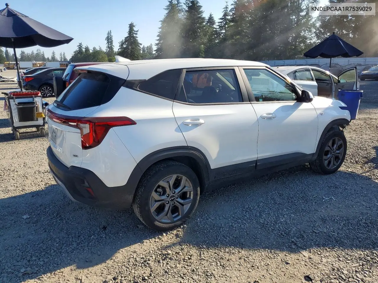 2024 Kia Seltos Lx VIN: KNDEPCAA1R7539029 Lot: 60981656