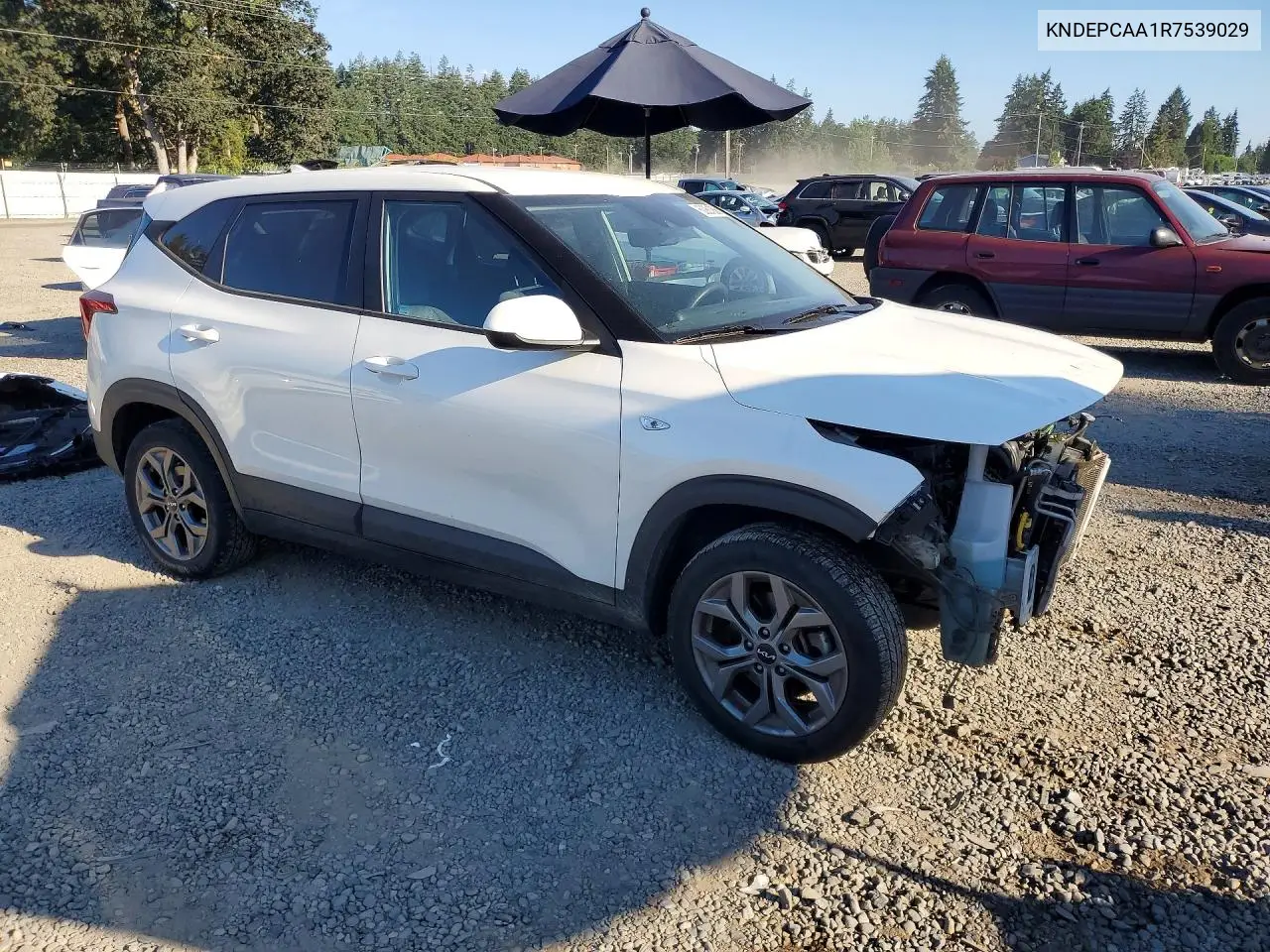 2024 Kia Seltos Lx VIN: KNDEPCAA1R7539029 Lot: 60981656
