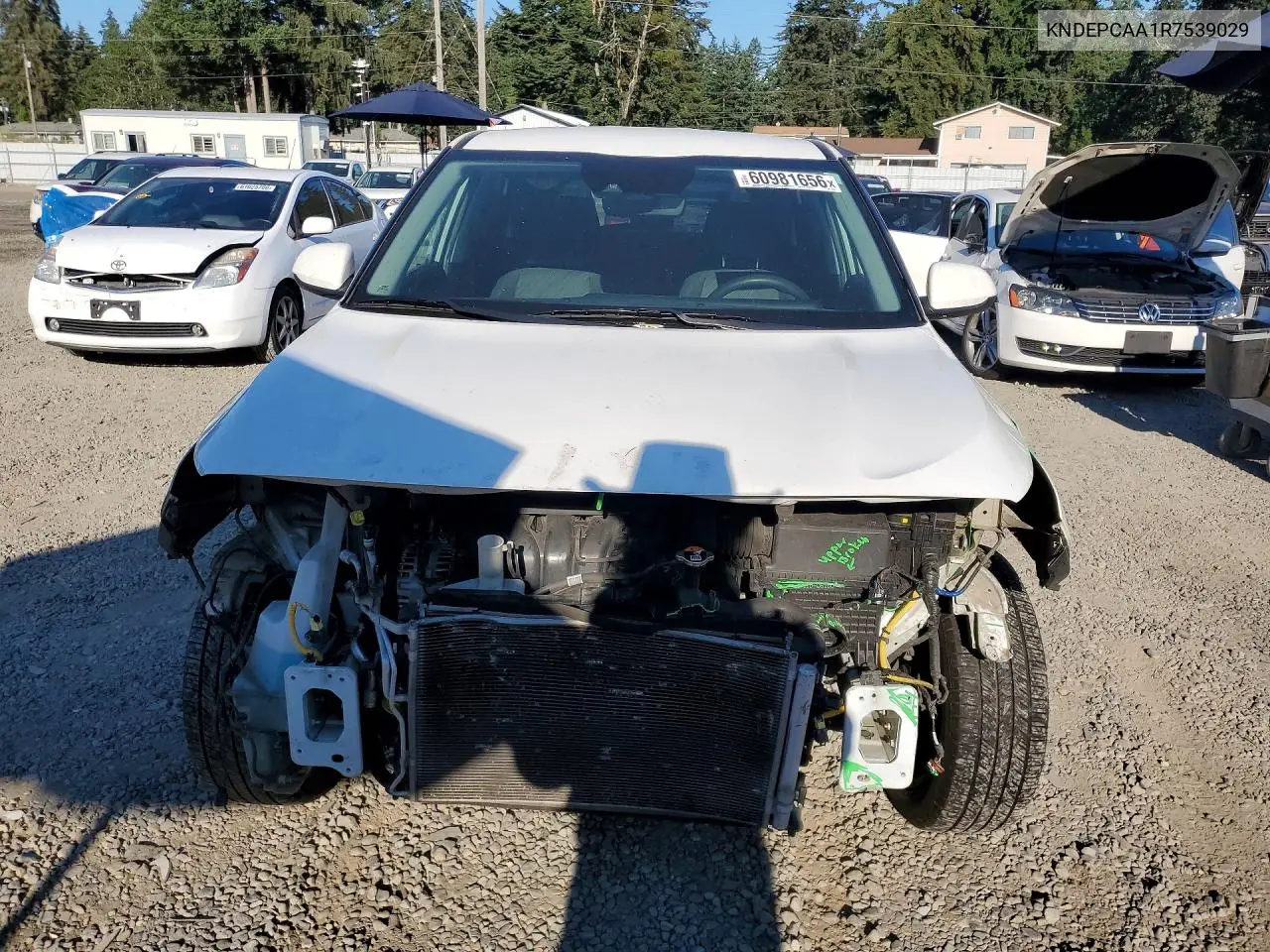 2024 Kia Seltos Lx VIN: KNDEPCAA1R7539029 Lot: 60981656