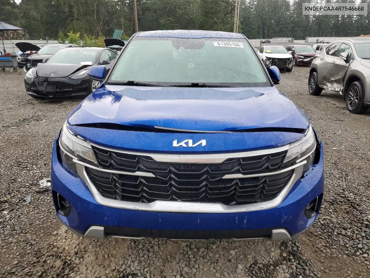 2024 Kia Seltos Lx VIN: KNDEPCAA4R7546668 Lot: 61385106