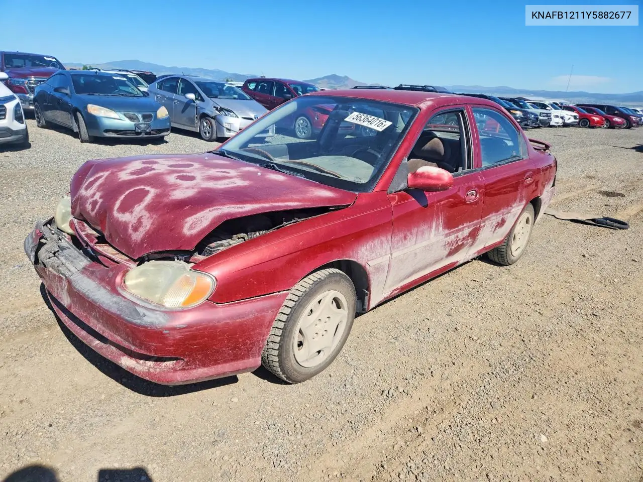2000 Kia Sephia Base VIN: KNAFB1211Y5882677 Lot: 56364016