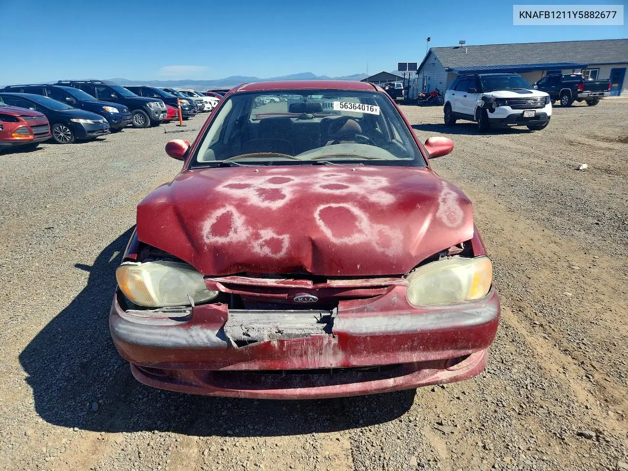 2000 Kia Sephia Base VIN: KNAFB1211Y5882677 Lot: 56364016