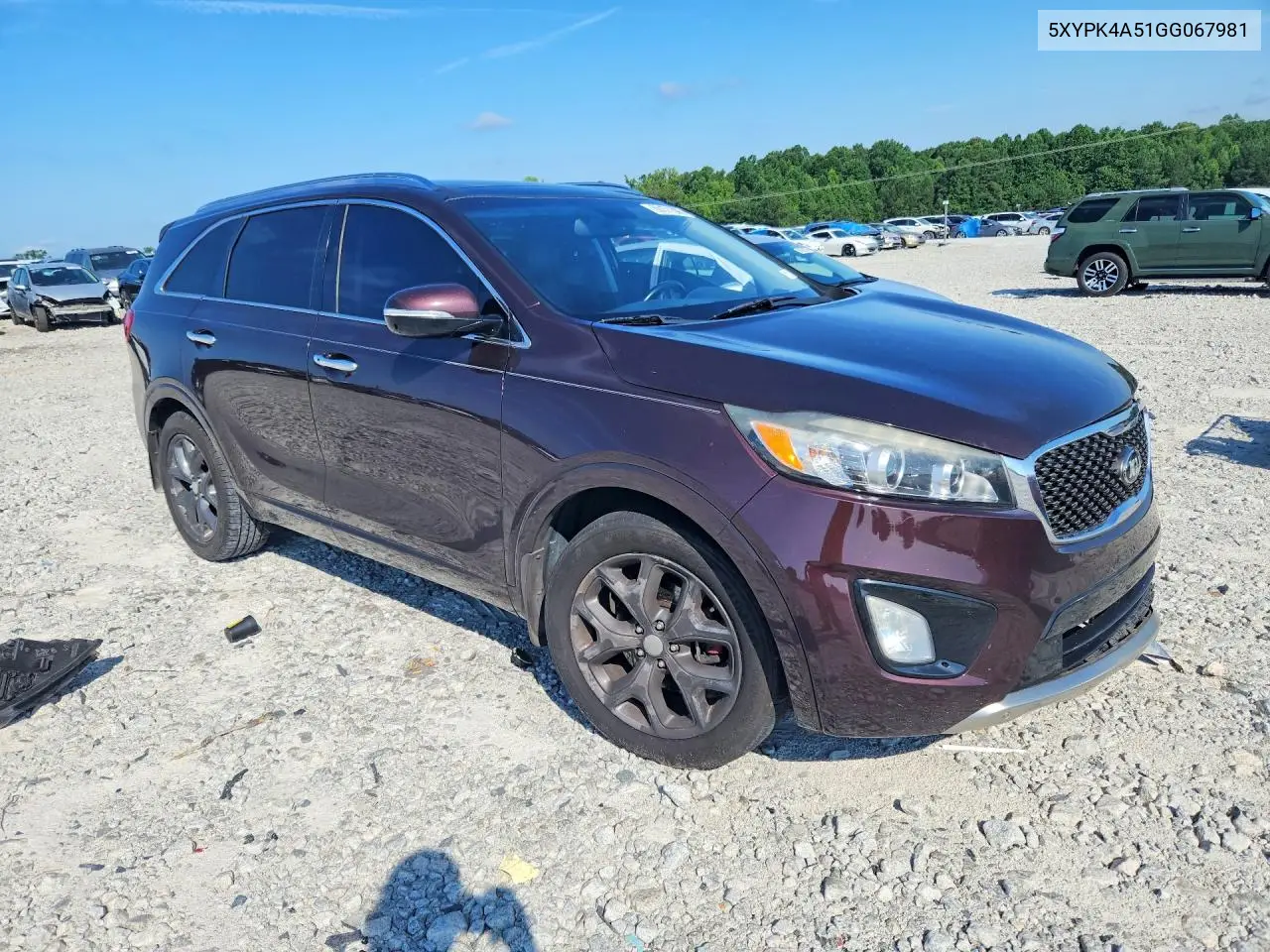 2016 Kia Sorento Sx V6 VIN: 5XYPK4A51GG067981 Lot: 60171306