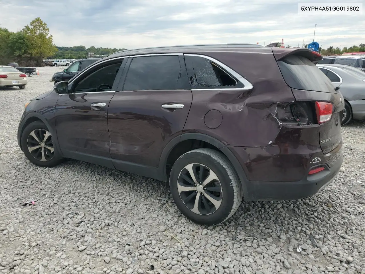 5XYPH4A51GG019802 2016 Kia Sorento Ex